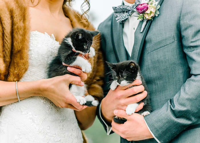 Khi thú cưng trở thành một phần trong lễ cưới