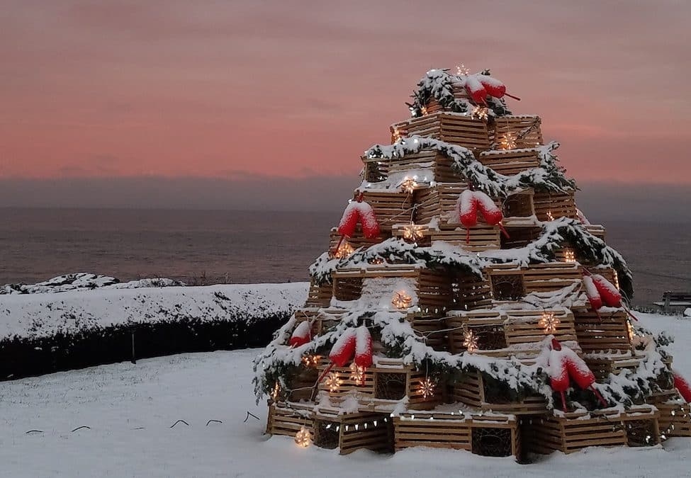 Một cây Noel làm từ bẫy tôm hùm (Nguồn: newengland)