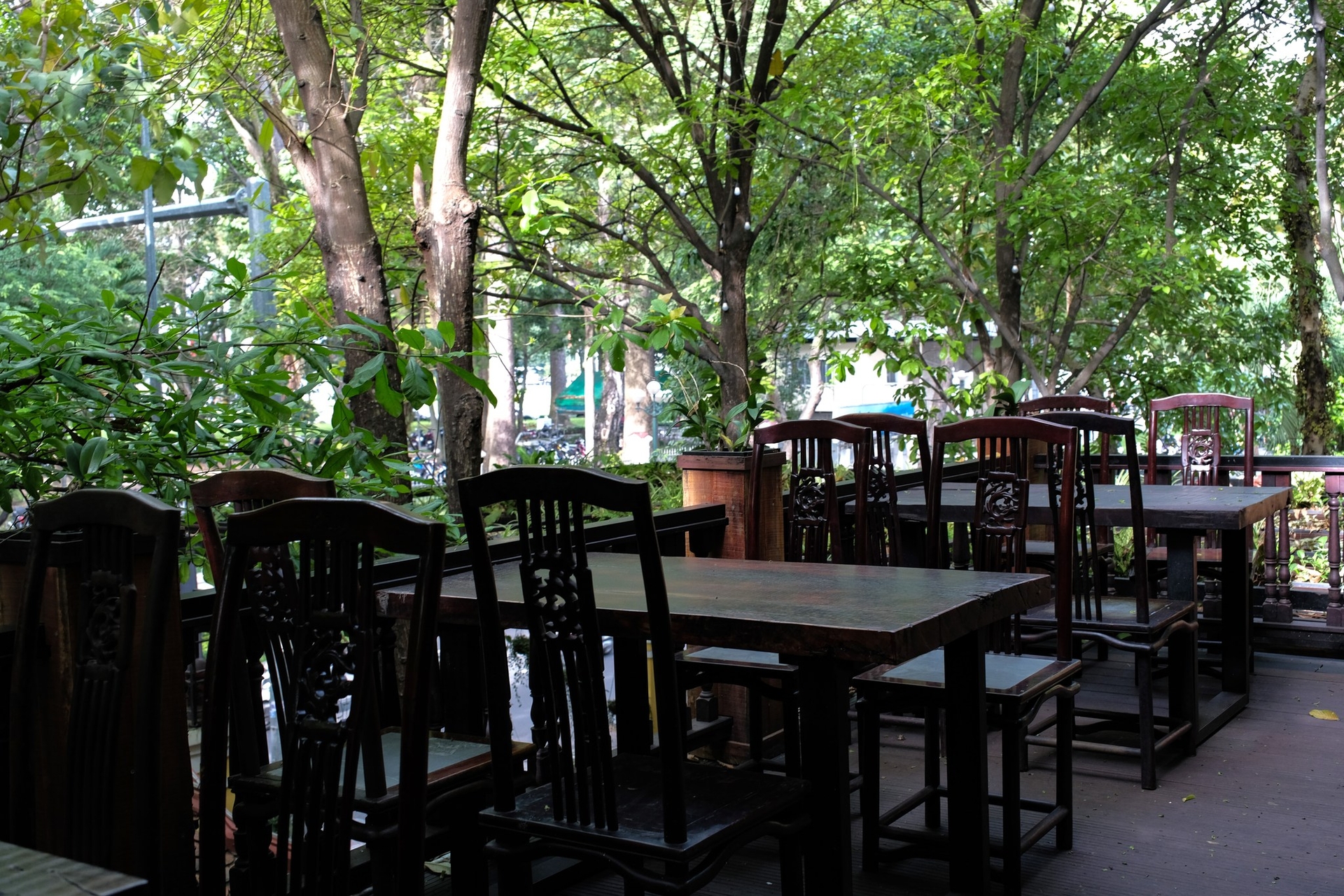 Khoảng xanh bao phủ tại Ngon Cafe. 