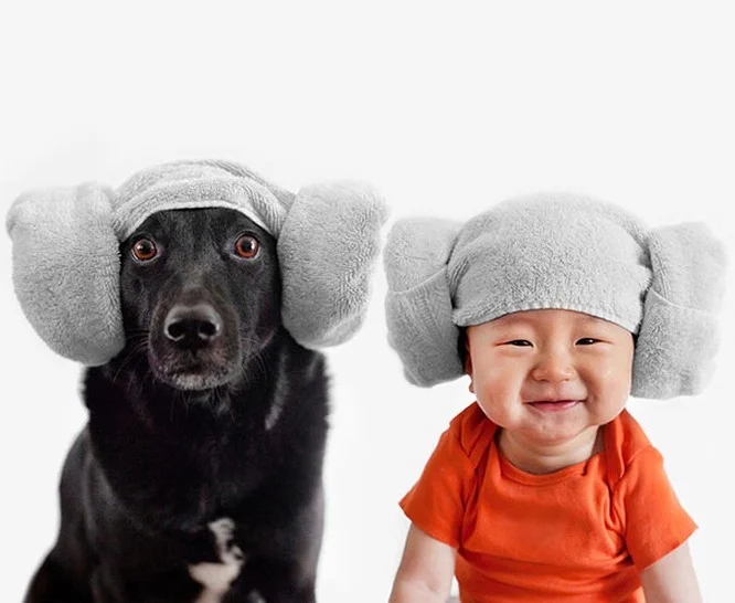 Cách dạy chó làm quen với em bé