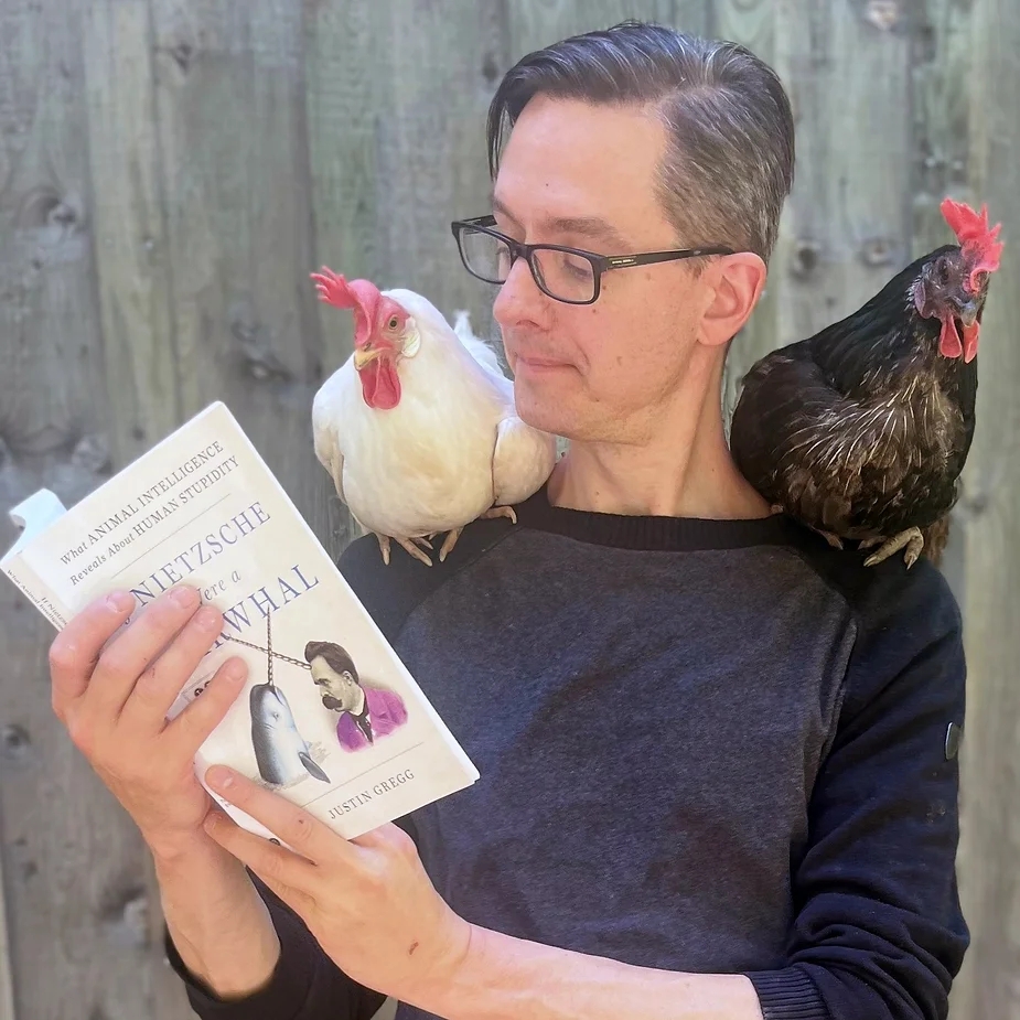 Tác giả Justin Gregg đọc cuốn sách mới nhất của ông bên cạnh các chú gà trong vườn nhà (Ảnh: Twitter nhân vật)