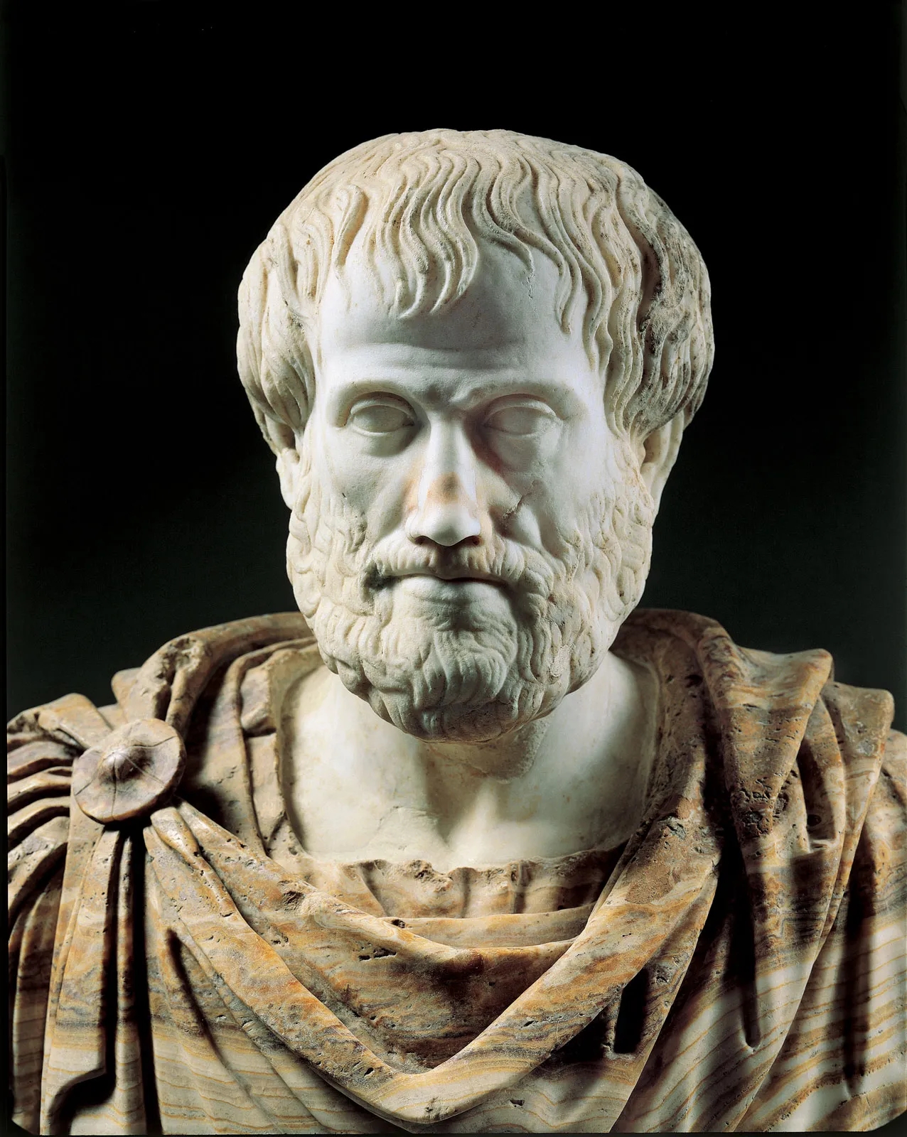 Tượng bán thân Aristotle đặt tại Bảo tàng Quốc gia Roman, Ý