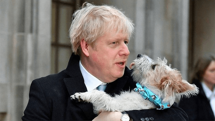 Jack Russell Dilyn, chú chó được Boris Johnson nhận nuôi, trong vòng tay âu yếm của Cựu Thủ tướng Vương quốc Anh (Ảnh: Reuters)