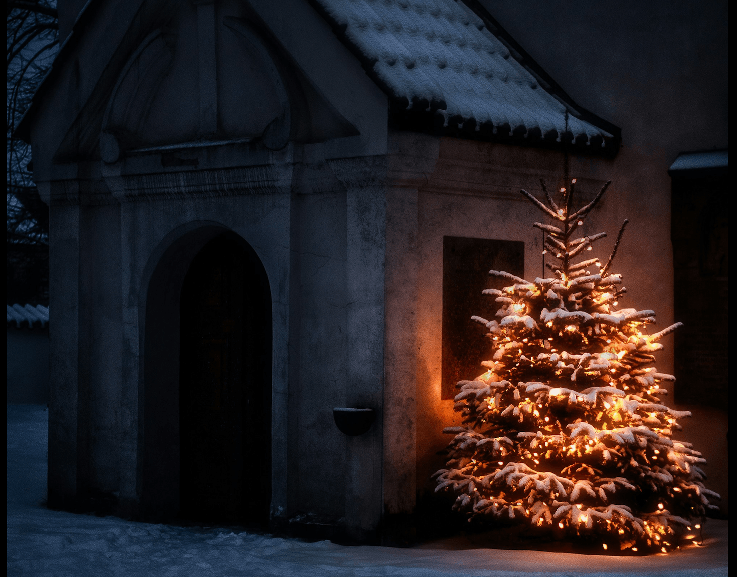 Những điều thú vị về cây thông Noel