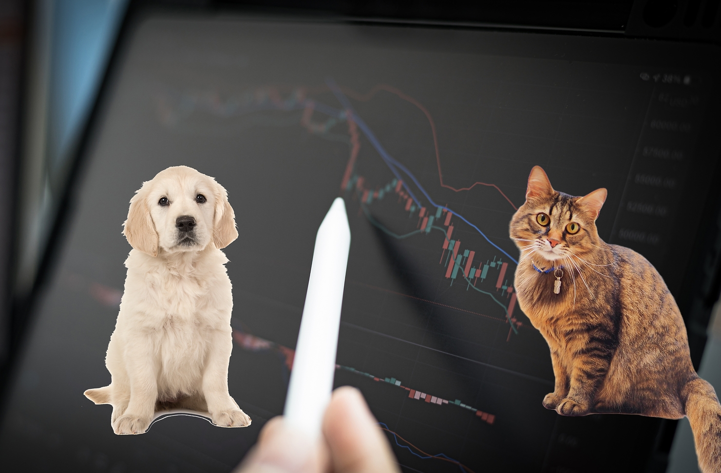 Vì sao người nuôi chó thích mua cổ phiếu hơn người nuôi mèo?